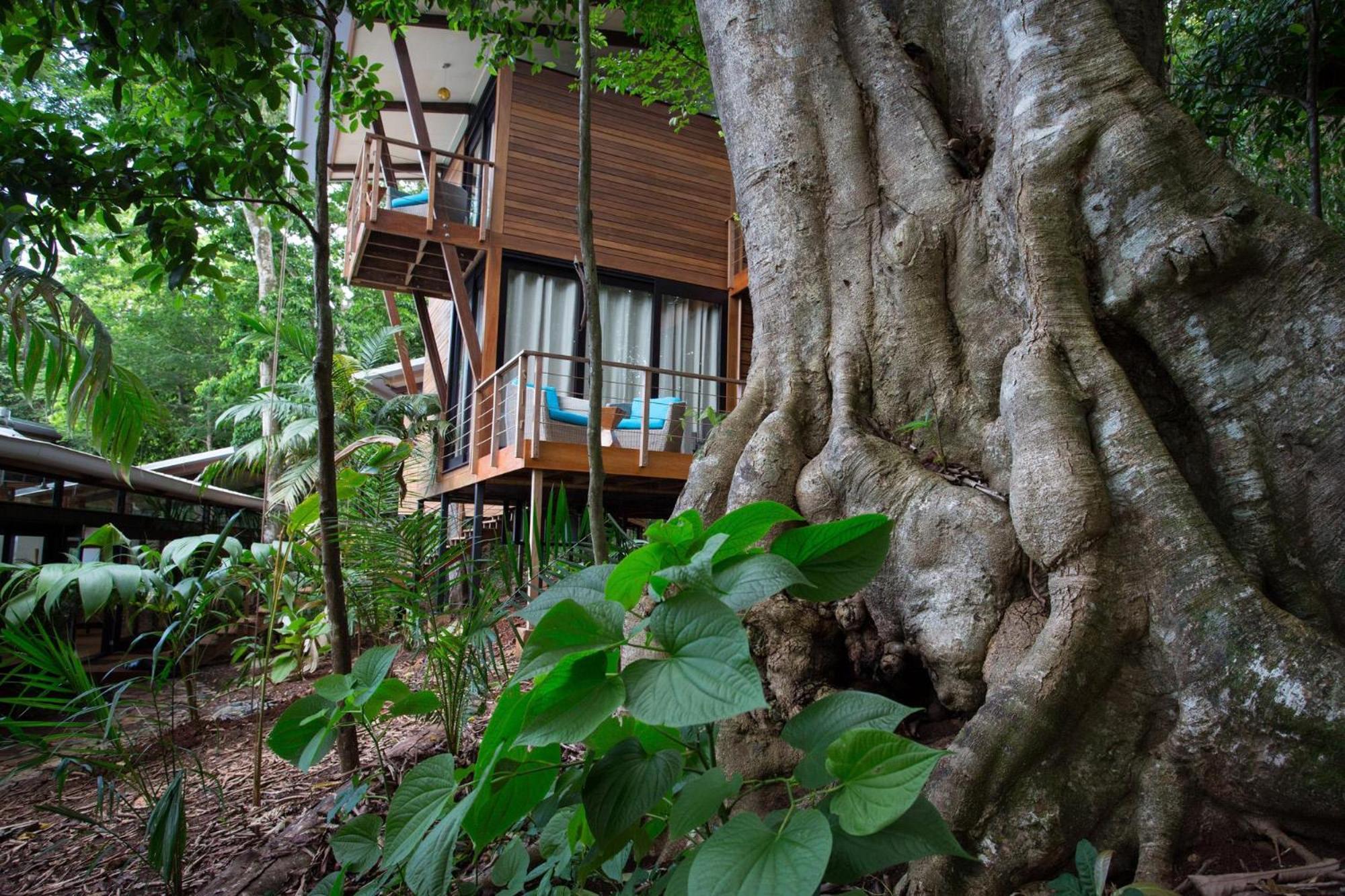 The Resort At Isla Palenque Member Of The Cayuga Collection Boca Chica Exterior photo